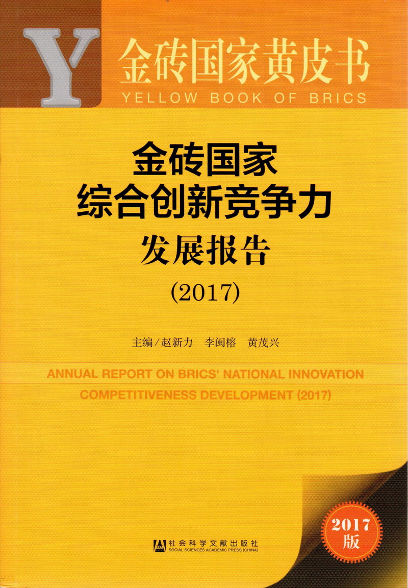 啊啊啊啊啊啊鸡把好大视频金砖国家综合创新竞争力发展报告（2017）